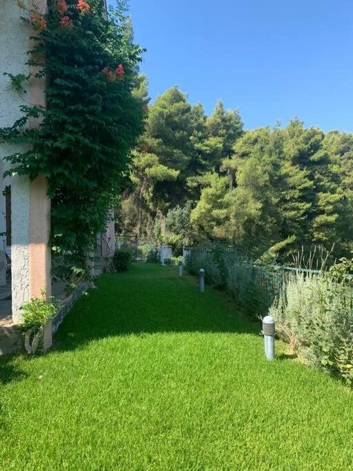 Amfiteatrico Sea View - Kalamos Attiki Διαμέρισμα Μαρκόπουλο Ωρωπού Εξωτερικό φωτογραφία